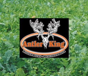 Antler King